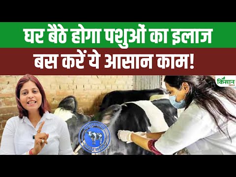 घर बैठे होगा पशुओं का इलाज – बस इस नंबर पर कॉल करें डॉक्टर आपके घर आकर करेंगे इलाज!। toll free 1962