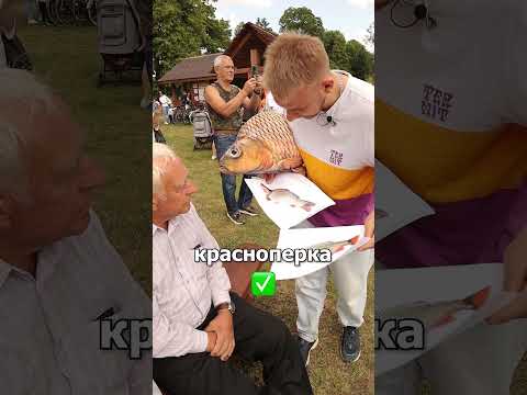 Сегодня ищем рыбу