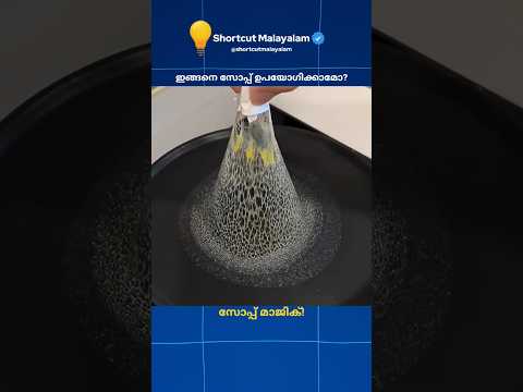 സോപ്പിന്റെ മാന്ത്രിക ഉപയോഗങ്ങൾ | Soap Life Hacks #shorts #malayalam #facts #secrethacks