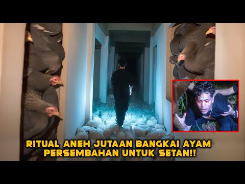 EXPLORER GEDUNG ANEH ISINYA JUTAAN B4NGKAI AYAM! PERSEMBAHAN TUMB4l KE SETAN!