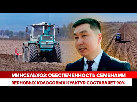 Минсельхоз: Обеспеченность семенами зерновых колосовых культур составляет 90%