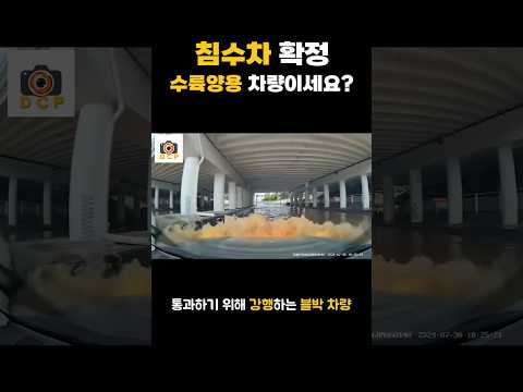 주변 차량들이 유턴하는 이유가 있었네