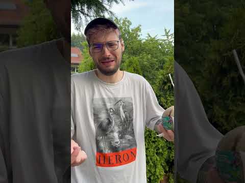 Lars findet eine echte Kokosnuss im Garten!🥥🌴 #larsoderso #kokosnuss #kokos #lecker #essen