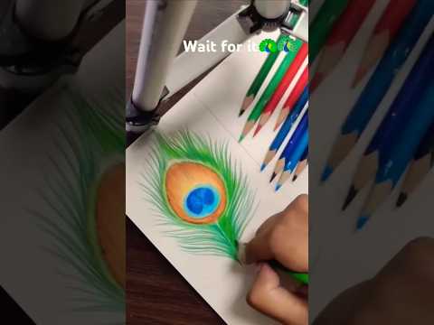 Simple beautiful 🦚 featherdrawing#feathers #drawing#art#artist #shorts #trending