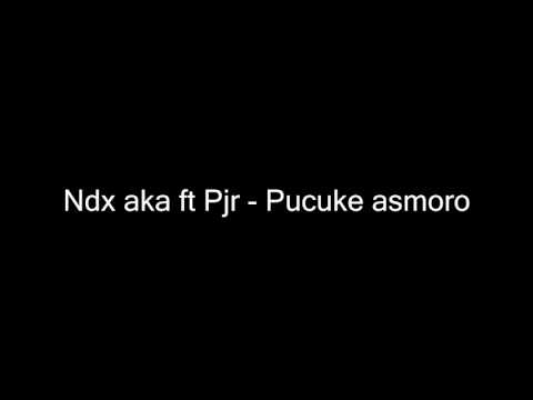 Ndx aka ft Pjr   Pucuke asmoro