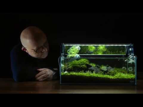 Nano Aquascape Tutorial - Scree by James Findley - The Art of Aquascaping Book now is available to download- https_//www.thegreenmachineonline.com/aqua