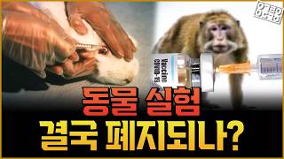 동물실험, 진짜 끝날까?! FDA가 동물실험 대안으로 꺼내든 남스(NAMs)! 과연 새로운 표준이 될까?