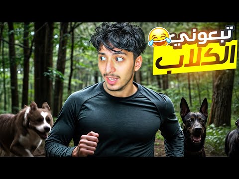 😂 MEMES🇲🇦  جراو عليا الكلاب بليل 😂  شنو واقع #13