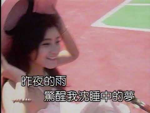 伴唱：風中的承諾