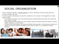 Understanding Social Organization and Culture