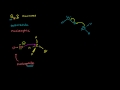 Understanding Sn2 Reactions