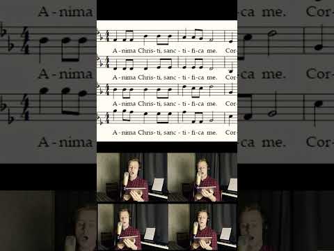 #music #choir #Palestrina #vocal #acapella #opera #bass #tenor #alto #soprano