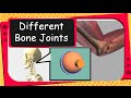 Understanding Joints and Ligaments