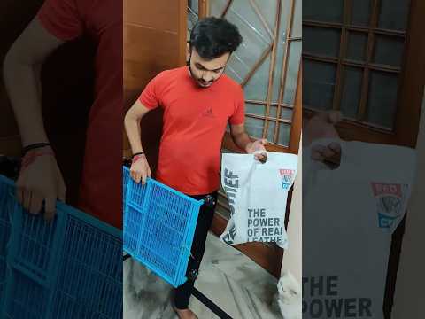 New Cage 😍 or New Birds 😍 le aaye mini zoo mein #shorts #dailyminivlog #newbird #cage