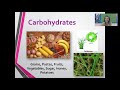 Exploring Macromolecules: Structure and Function