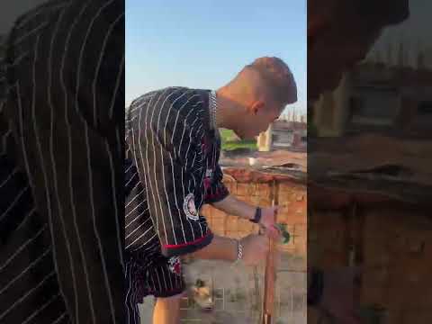 أطلقت سراح أسد الجبال في الشارع💔😱أصعب شئ عملته في حياتي 🐆💔