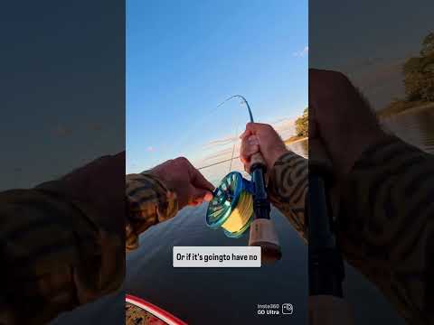 Another broken reel chronicles #flyfishing #insta360 #insta360goultra @choonaclothing @insta360