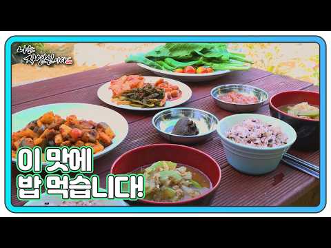 가지가지볶음에 호박찌개, 자연인표 건강한 밥상 MBN 260928 방송
