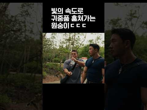 외국에서 소매치기 당했습니다