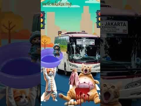 Mamah meninggal habis lahiran #cat #funny #cutecat #shortvideo #trendingshorts