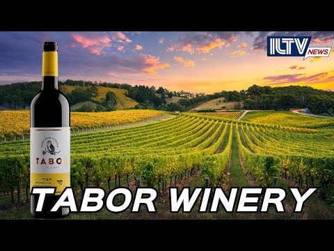 Sip into Summer with Tabor Winery