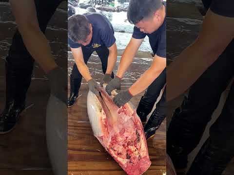 這場黑鮪魚切割秀,讓人看得目不轉睛!#livecutting #knifezen #chefmagic #bluefintuna
