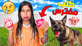 للاسف..كلب القصر طلع مفترس 🚨واكل لابوبو ديال رانية😭💔(اغلى واحد💵)