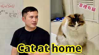 Cat at home! 家裡有貓