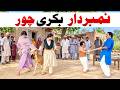 Number Daar Bakri chor Funny Video  Most Comedy Funny Video  You Tv Hd 2026