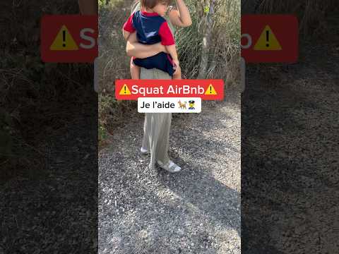 Quelle est la solution pour les squats Airbnb ? ￼😨 #airbnb #squat #ninolemalou #malinois #nino