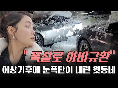 40cm의 폭설로 갇혀버린 탈북여성 유나의 탈출기