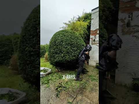 Satisfying Gardening Work🌳#garden #gardening #satisfying #cleaning #grass #lawn #viral #fyp #153