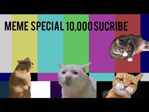 meme special 10,000 subcribe #meme#animals#viralvideo#cat#funny