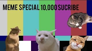 meme special 10,000 subcribe #meme#animals#viralvideo#cat#funny