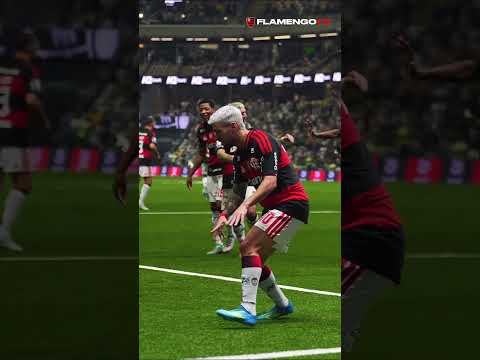 image para ilustrar o artigo