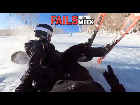 When Cats Attack! Fails Of The Week