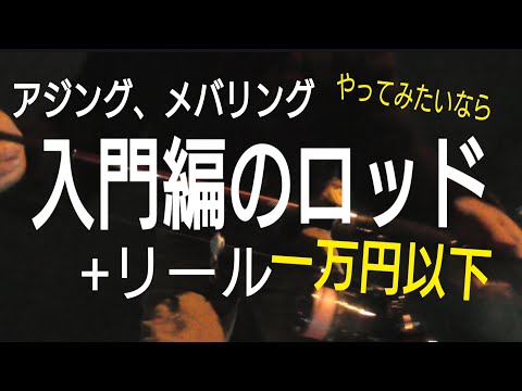 【ライトゲーム入門編】一万円以下で揃えて近所の港で実釣してみました