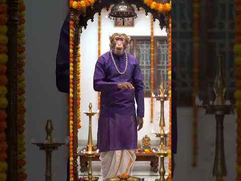 Diwali Special Patakhe Mithayi Or Masti Bantoo Bhai Ke Saath🪔🎇✨ #diwali #aimonkeyvlog #funny