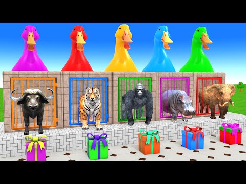 Long Slide Game With Cow Elephant Gorilla Hippopotamus Tiger 3d Animal Game Funny 3d Animals