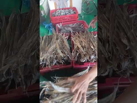 Mồi mùa đông của AE dân biển