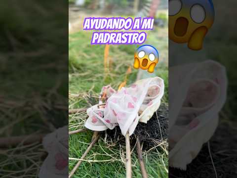 Parte 4 #shortsvideo #shortvideo #comedia #humor #yotubeshorts #fyp