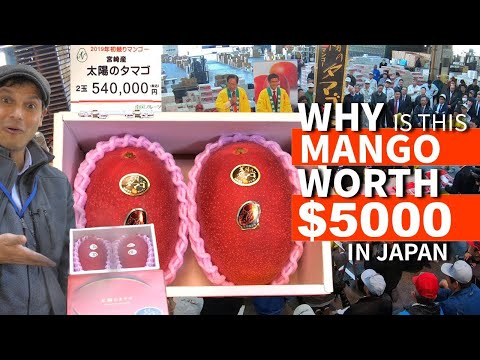 Japanese Mango sold for $5000 - but WHY" ? ONLY in JAPAN