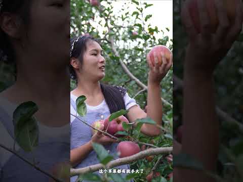 Cooking 4 Different Colors of Apples！Have You Seen White Apple? #guizhou #food #china  #recipe