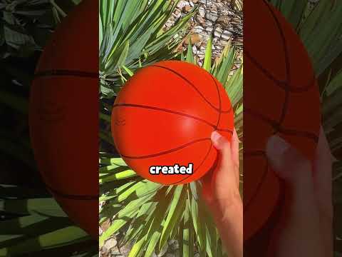 what Silent Basketball looks like