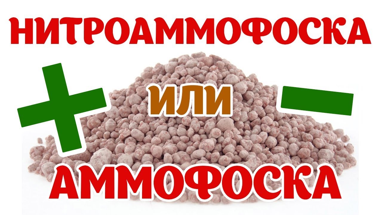 Комплексные удобрения: Нитроаммофоска и Аммофос. Плюсы и минусы