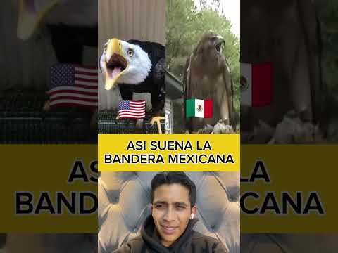 Hermoso sonido del águila Real representando a México 🇲🇽🔥