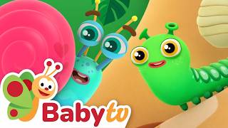 O Segredo do Casulo | Como uma Lagarta se Transforma em Borboleta | BabyTV