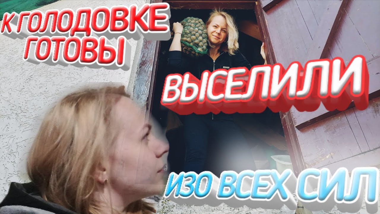 Гром без листьев к голодовке! Работаем в деревне изо всех сил