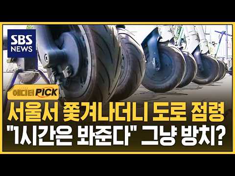 서울서 쫓겨나더니 도로 점령.."1시간은 봐준다" 그냥 방치? (에디터픽) / SBS