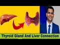 Liver and Thyroid Health Essentials